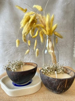 Coco shell candle(Jipso)